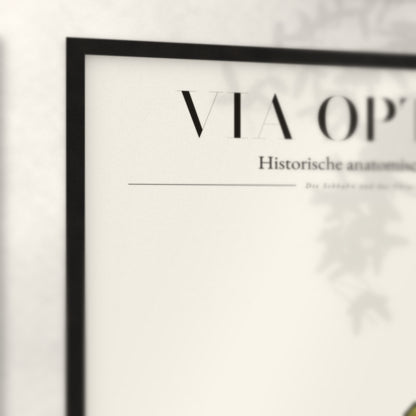 Nahaufnahme von Rahmenecke und Titel „Via Optica“