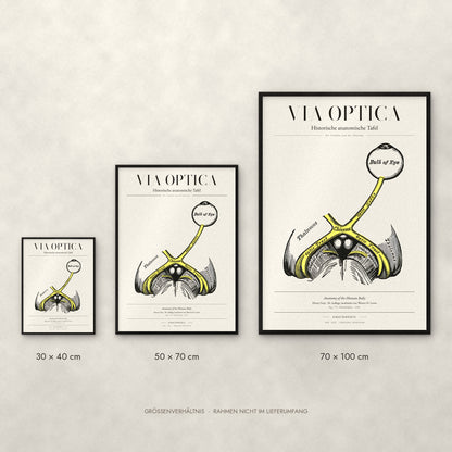 Via Optica Poster im Größenvergleich: 30 × 40, 50 × 70 und 70 × 100 cm